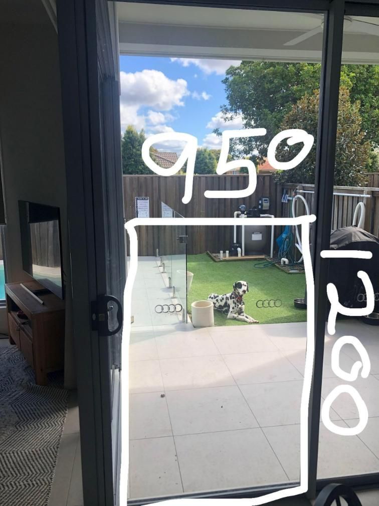 Dog Sccratch and Full Window Marked — Scratchless Glass Australia in Maroochydore, QLD
