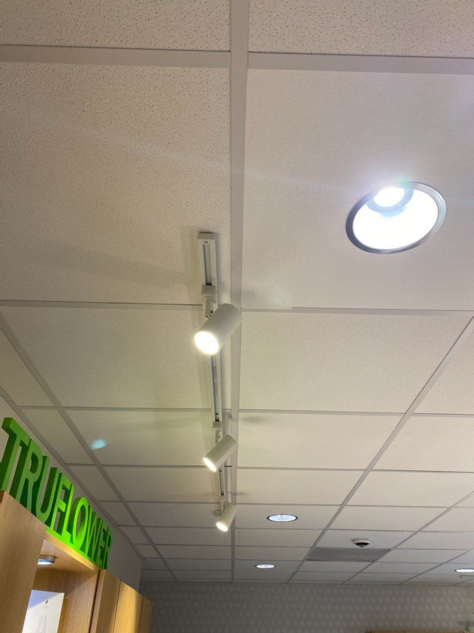 Store ceiling with recessed lights and a green hanging sign above a doorway