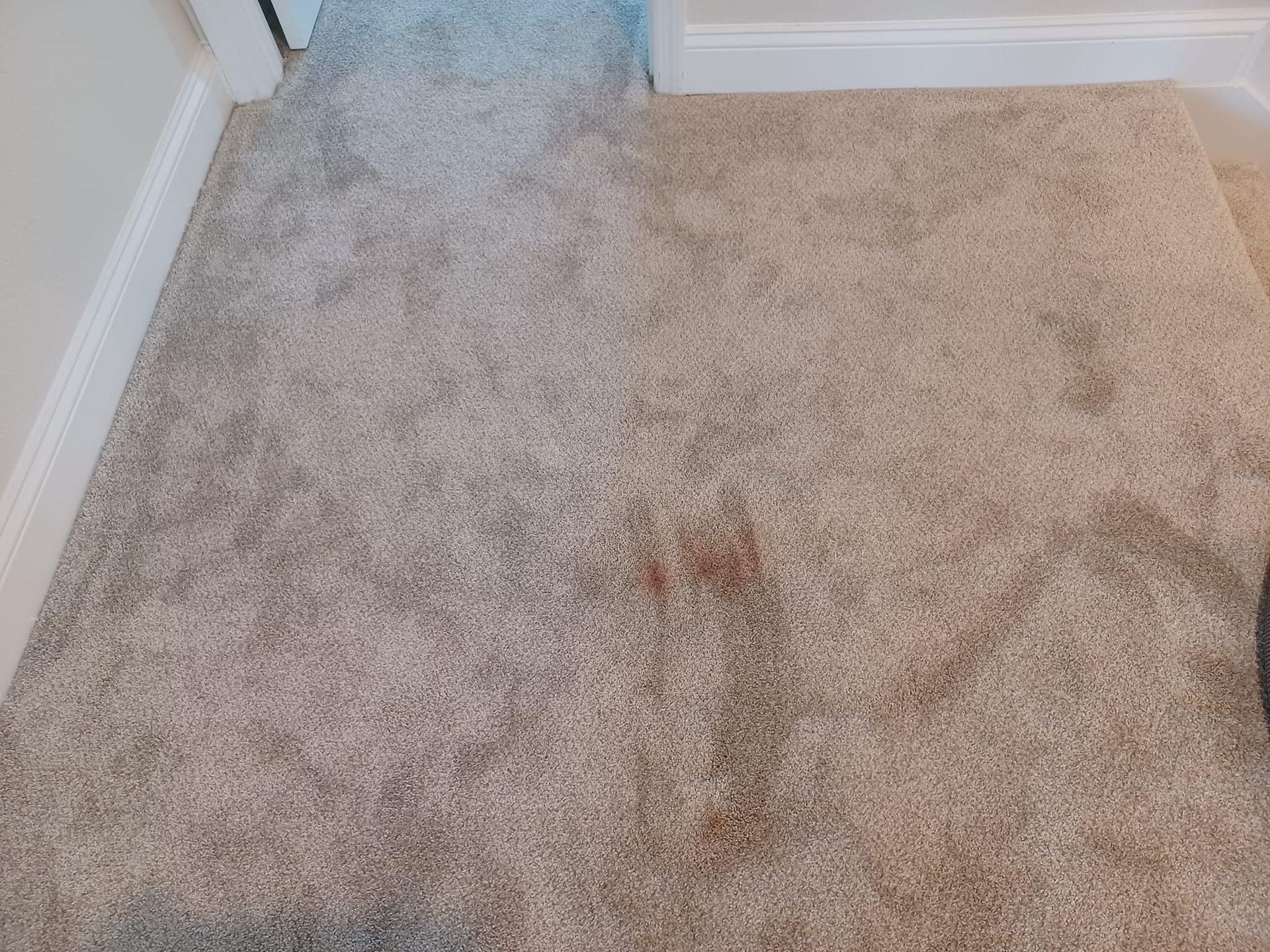 A beige carpeted floor with a distinct, brownish-red stain in the center area.