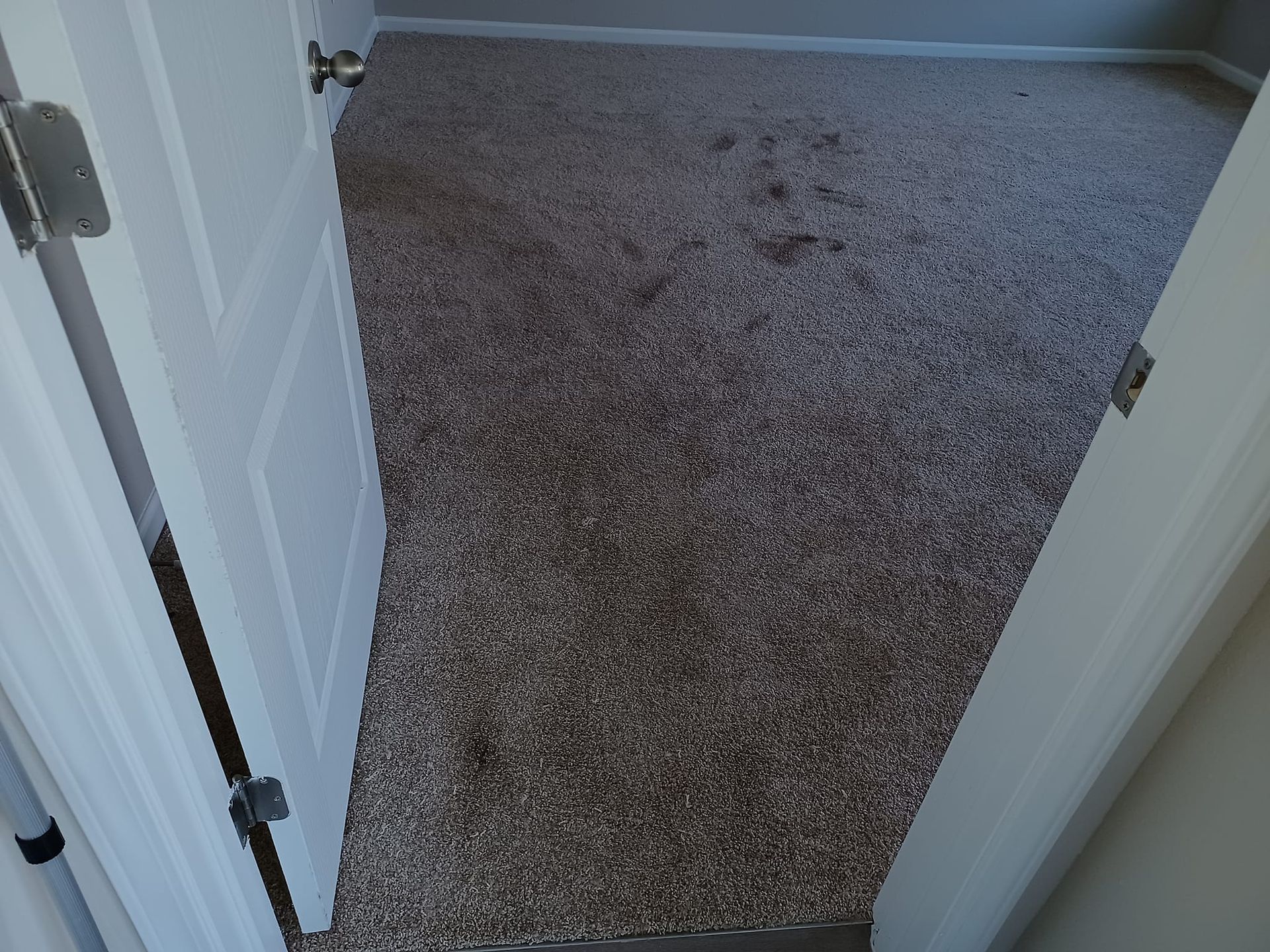 An open white door reveals a carpeted bedroom with light grey walls and stained, speckled brown carpeting.