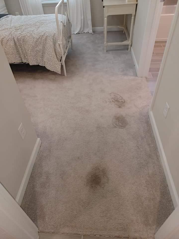Light-colored bedroom carpet with noticeable dark, circular stains on the floor.
