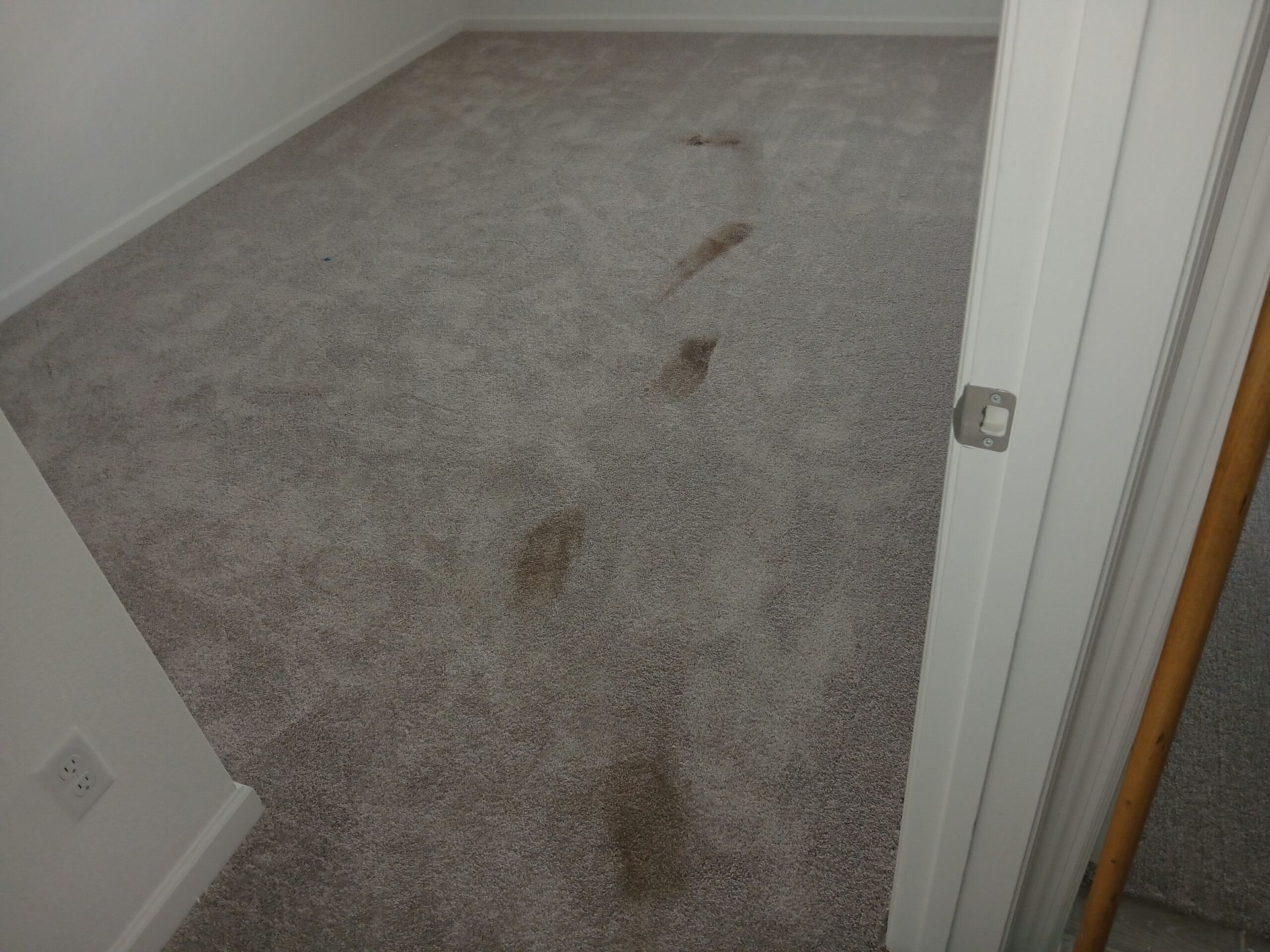 A series of muddy footprints leading across a light-colored carpet in a room with white walls and a doorway.