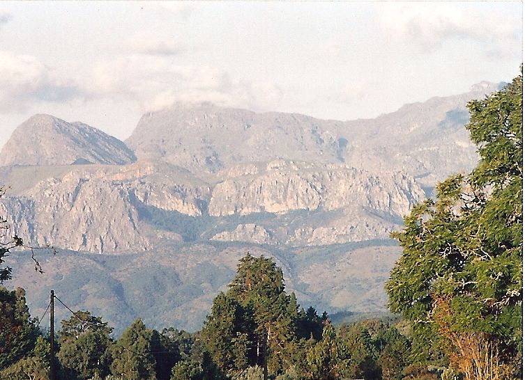 Discover Africa.