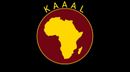 Black flag with a golden map of Africa on a maroon circle, 