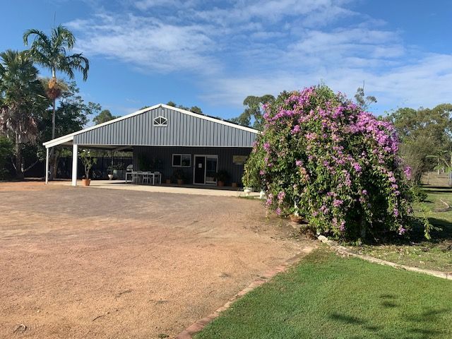 A Cattery Garden - Simply Catz Cattery in Townsville, QLD