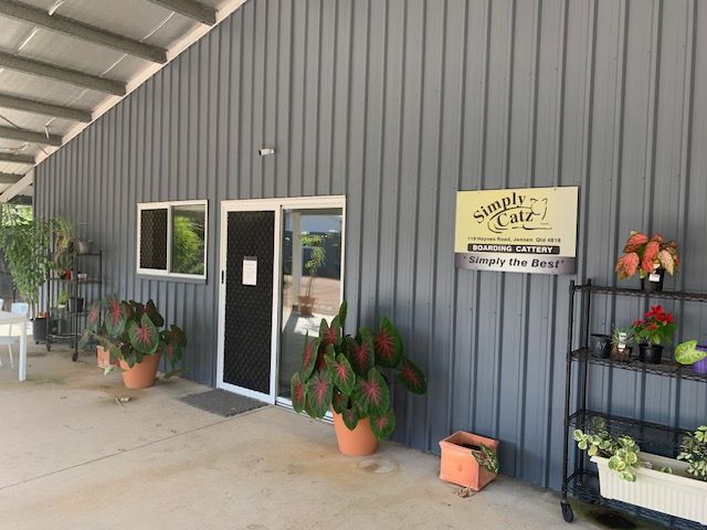 A Cattery Facility - Simply Catz Cattery in Townsville, QLD