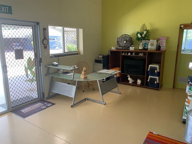 A Cattery Reception - Simply Catz Cattery in Townsville, QLD