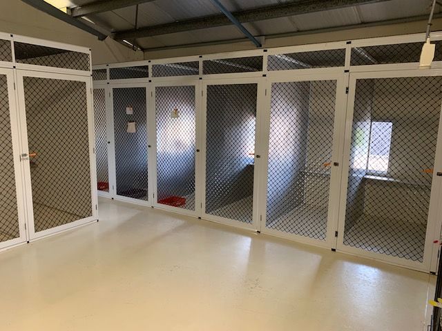 A Cattery Small Suites - Simply Catz Cattery in Townsville, QLD