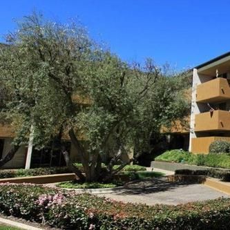 A large tree is in the middle of a garden in front of a building.