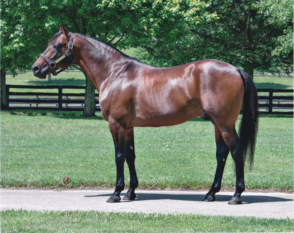 Odds On Equuleus