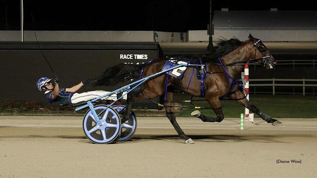 Prince Hal Hanover racing