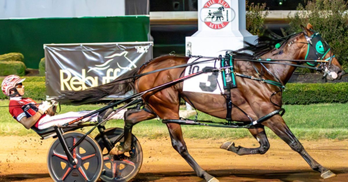Brandon Blvd racing