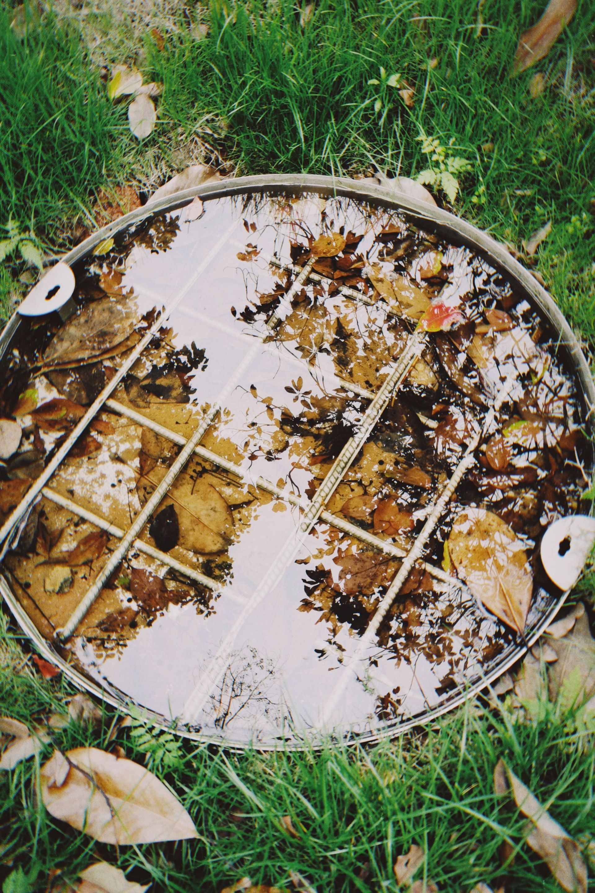 Round metal drainage grate in grass, covered with leaves and reflected sky.