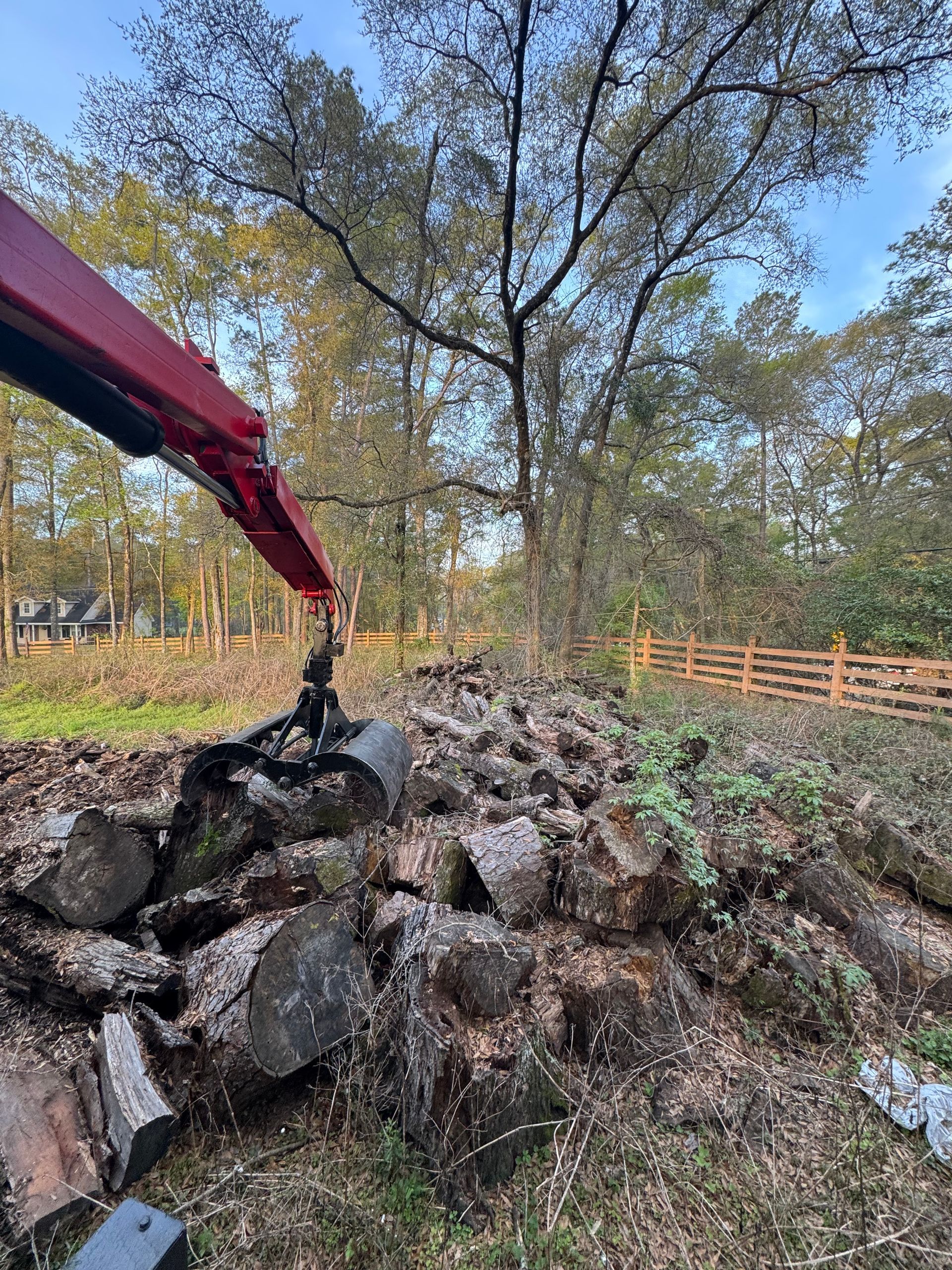 A pile of logs sitting on the side of a road next to trees.