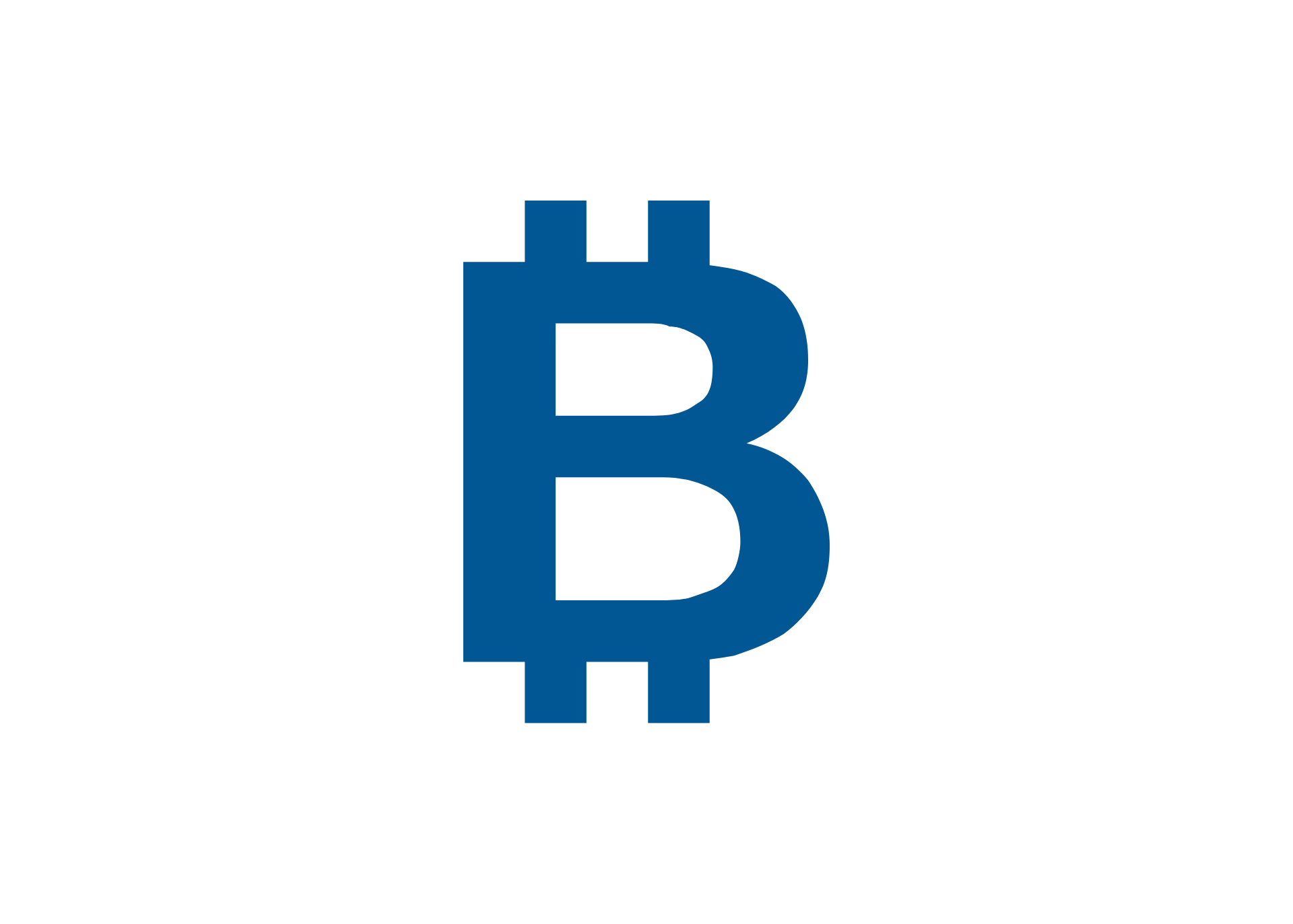 View of a Bitcoin coin.