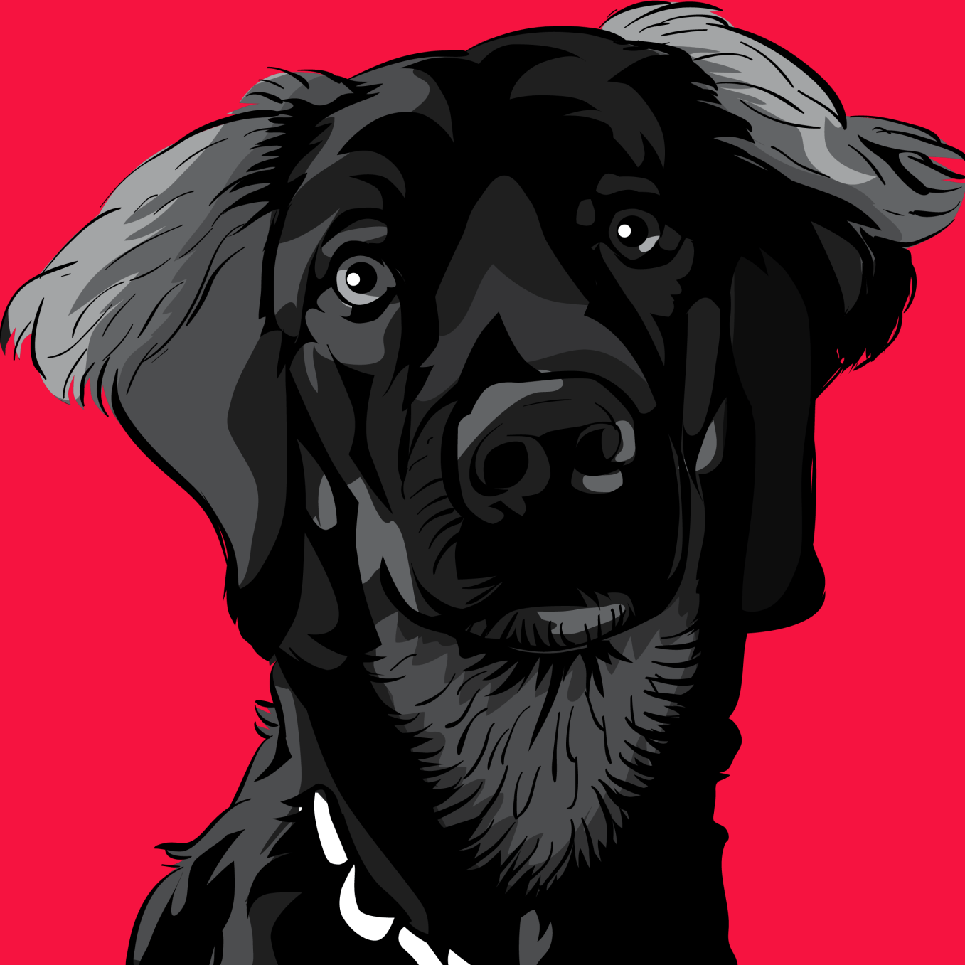 BarkJar