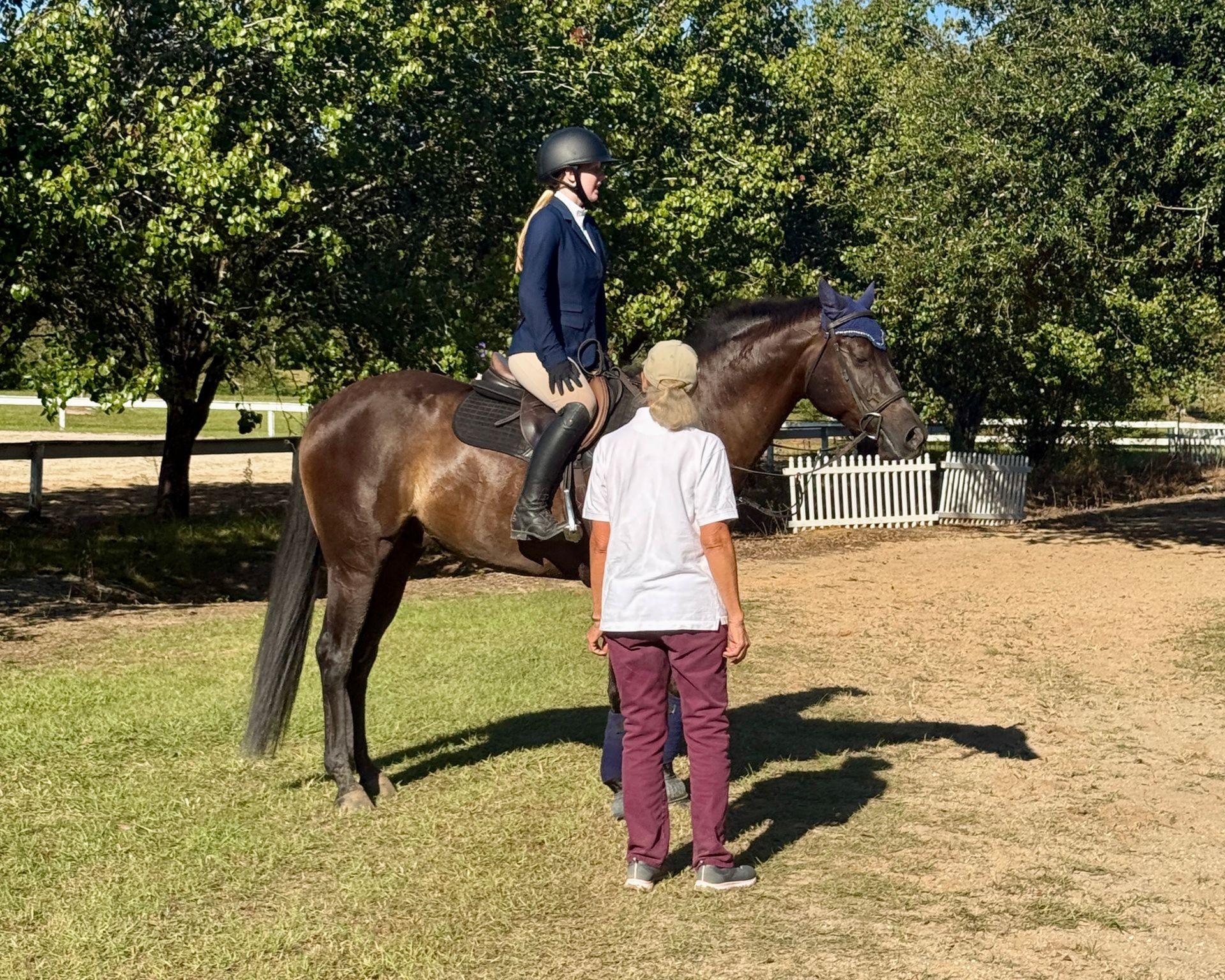 Marketing lessons learned from an equestrian coach