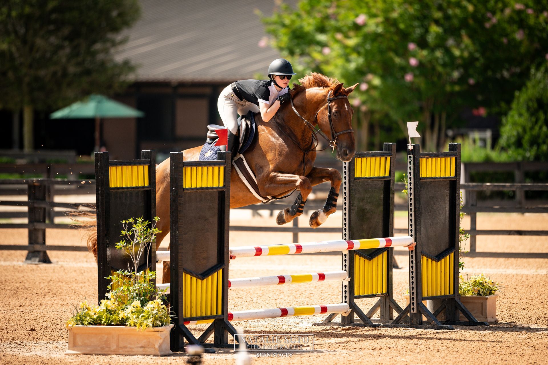 Equestrian rider jumping a horse, symbolizing a focused marketing strategy.