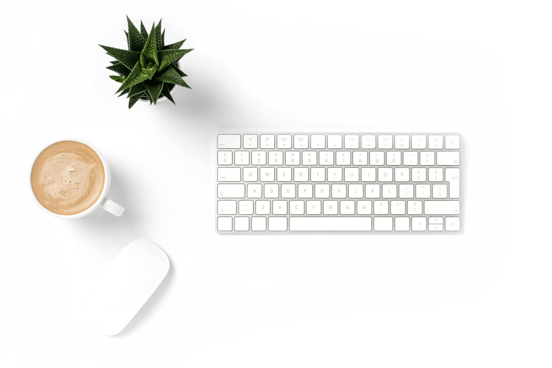 Search Marketing Baton Rouge