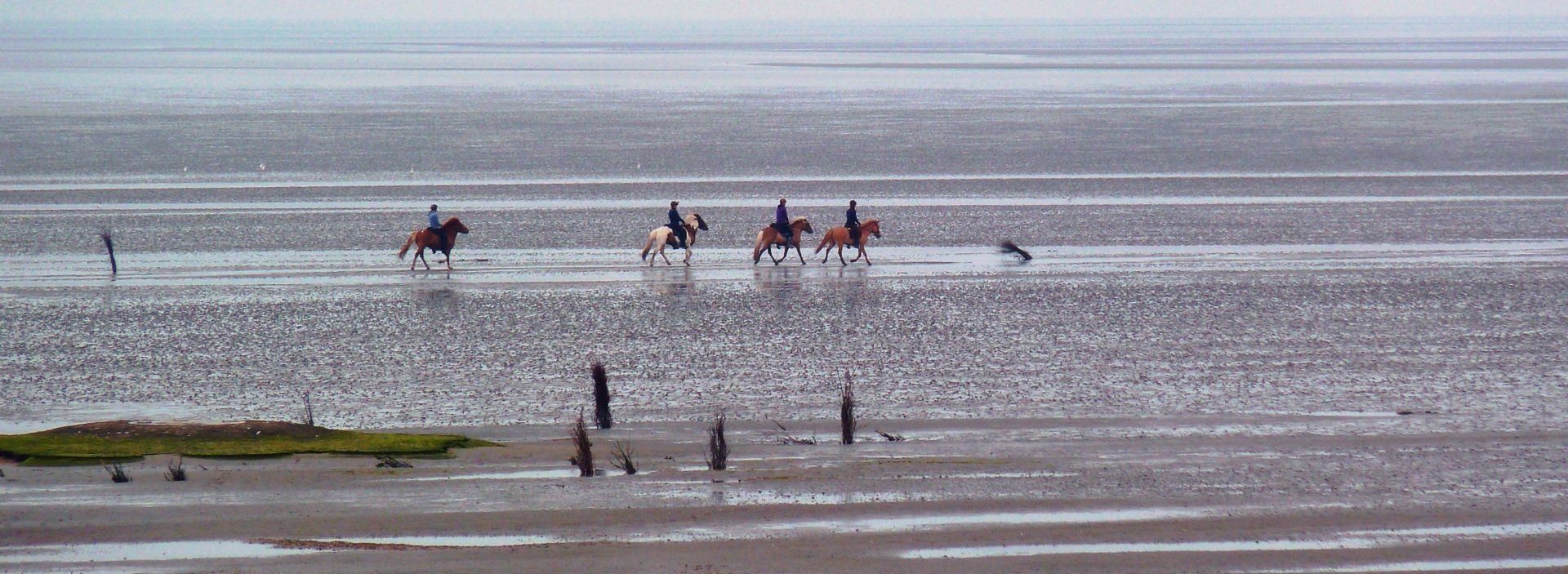 Menschen und Pferde an einem breiten, schlammigen Strand mit flachem Wasser und Spiegelungen.
