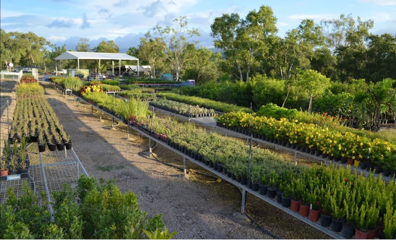 Rocky Springs Nursery Plants in Townsville