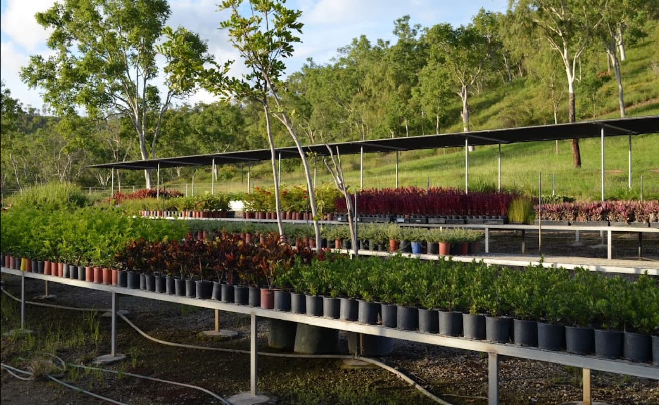 Rocky Springs Nursery Plants in Townsville