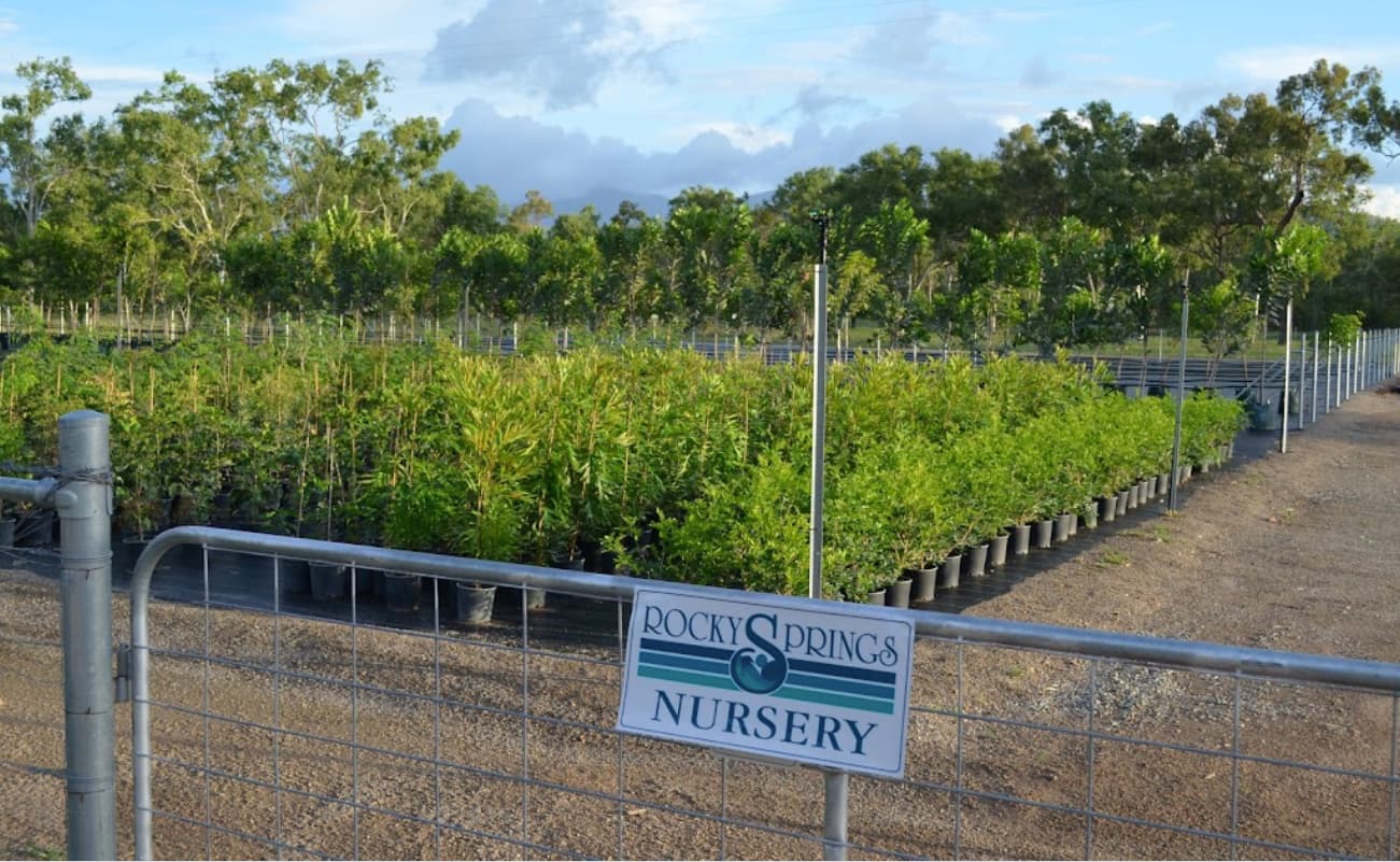 Plant Nursery — Rocky Springs Nursery in Julago, QLD
