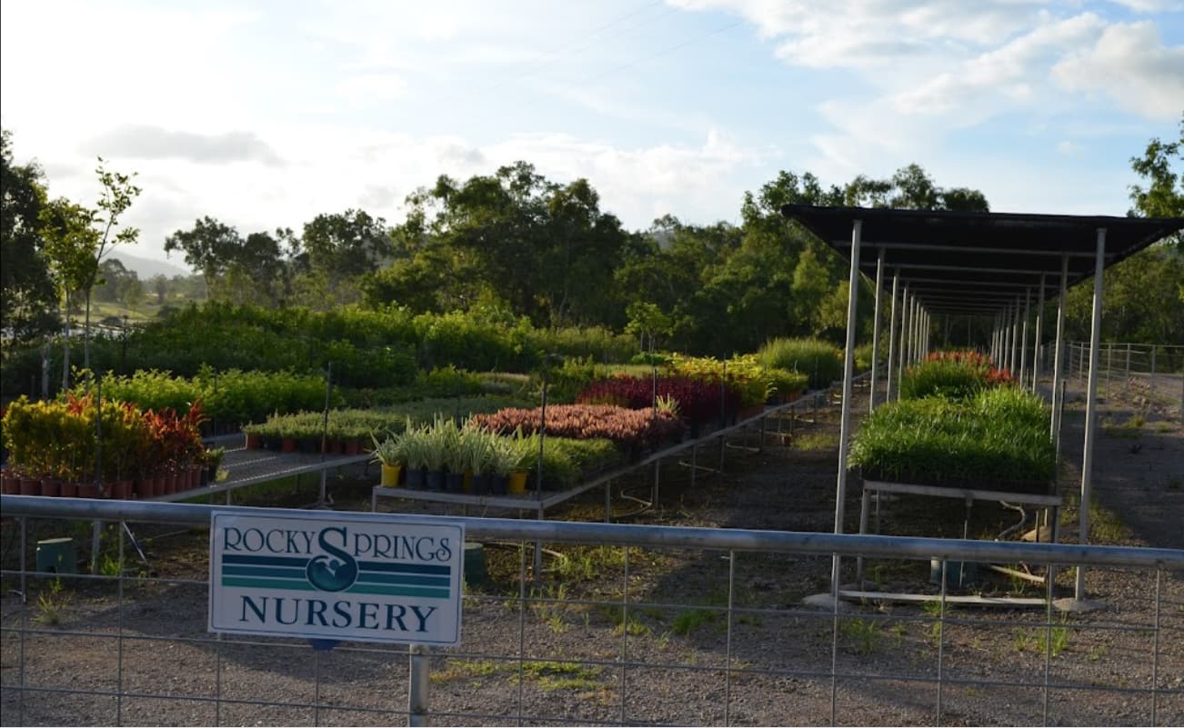 Vast Collection of Potted Plants — Rocky Springs Nursery in Julago, QLD