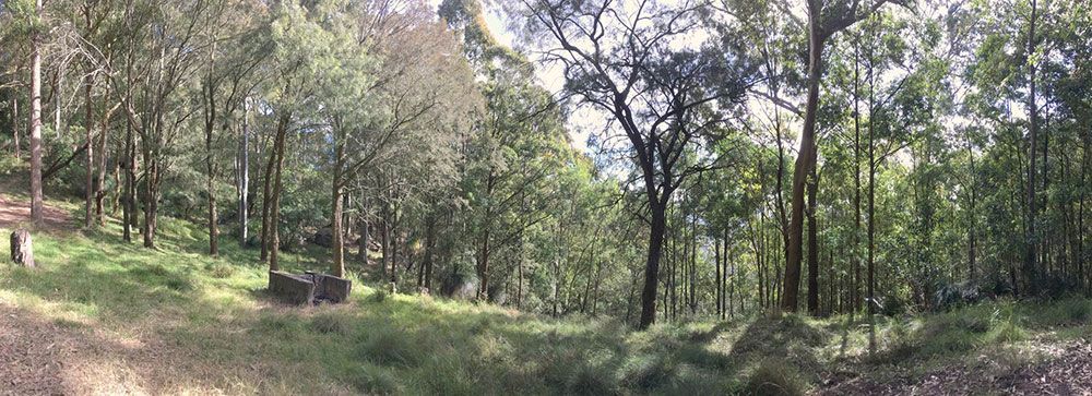 Curra Forest — Gympie Poo Pumpers in Curra, QLD