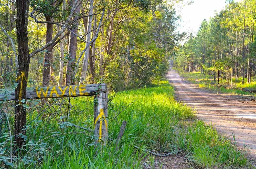 Glenwood Forest And Rough Road Glenwood Forest And Rough Road — Gympie Poo Pumpers in Glenwood, QLD