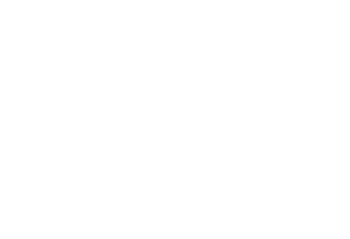 The Lofts at Gin Alley logo