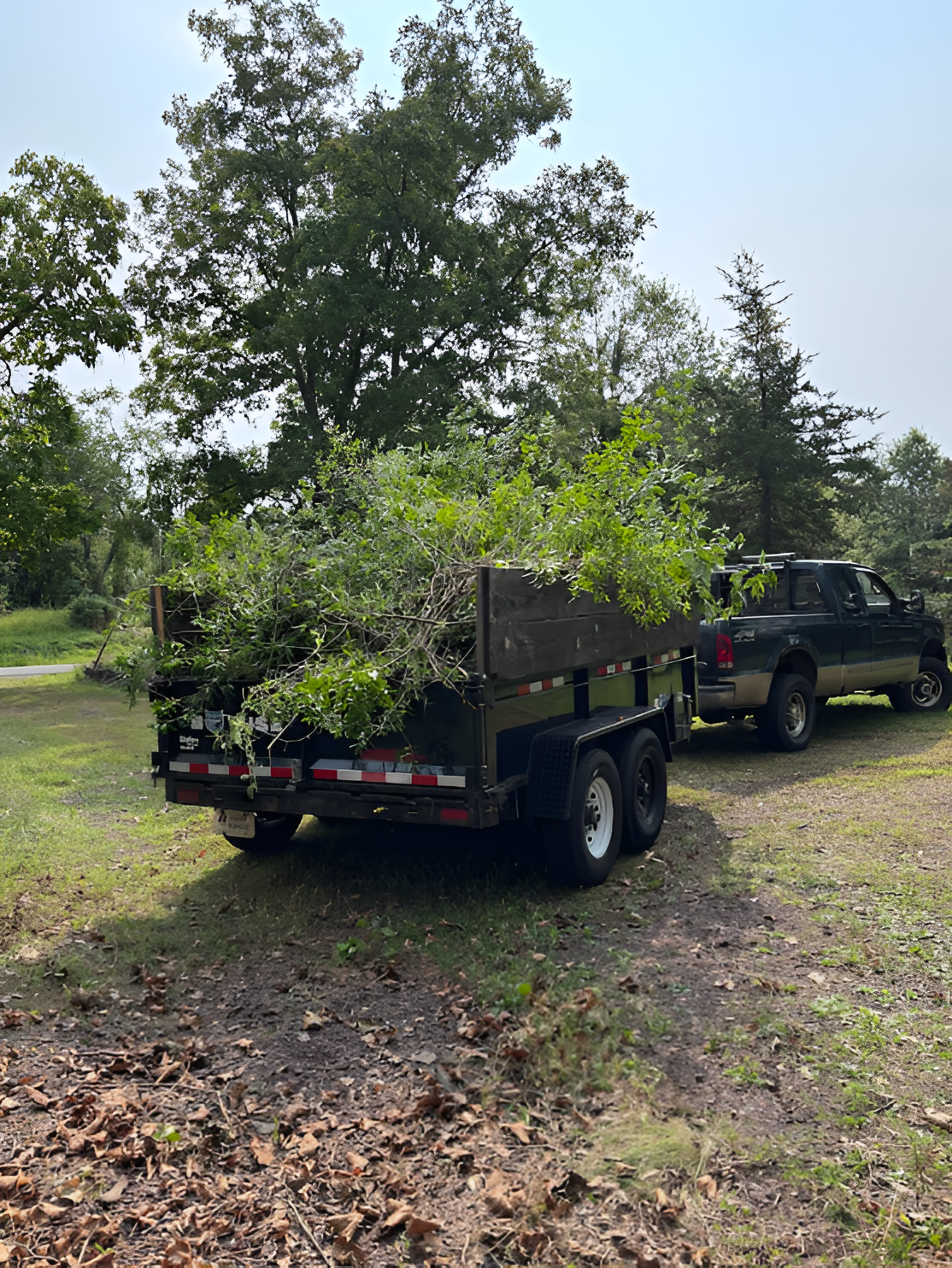 A trailer loaded with green tree branches hitched to a black pickup truck in a wooded area.