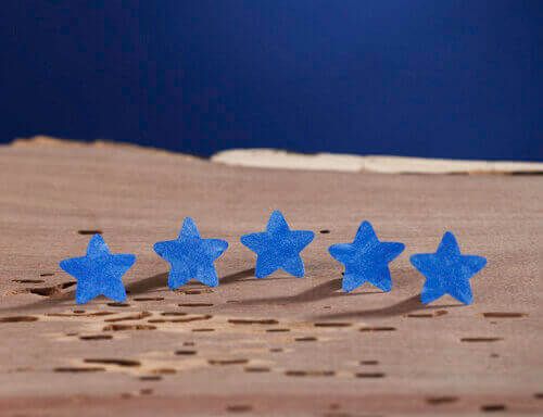 Customer Reviews