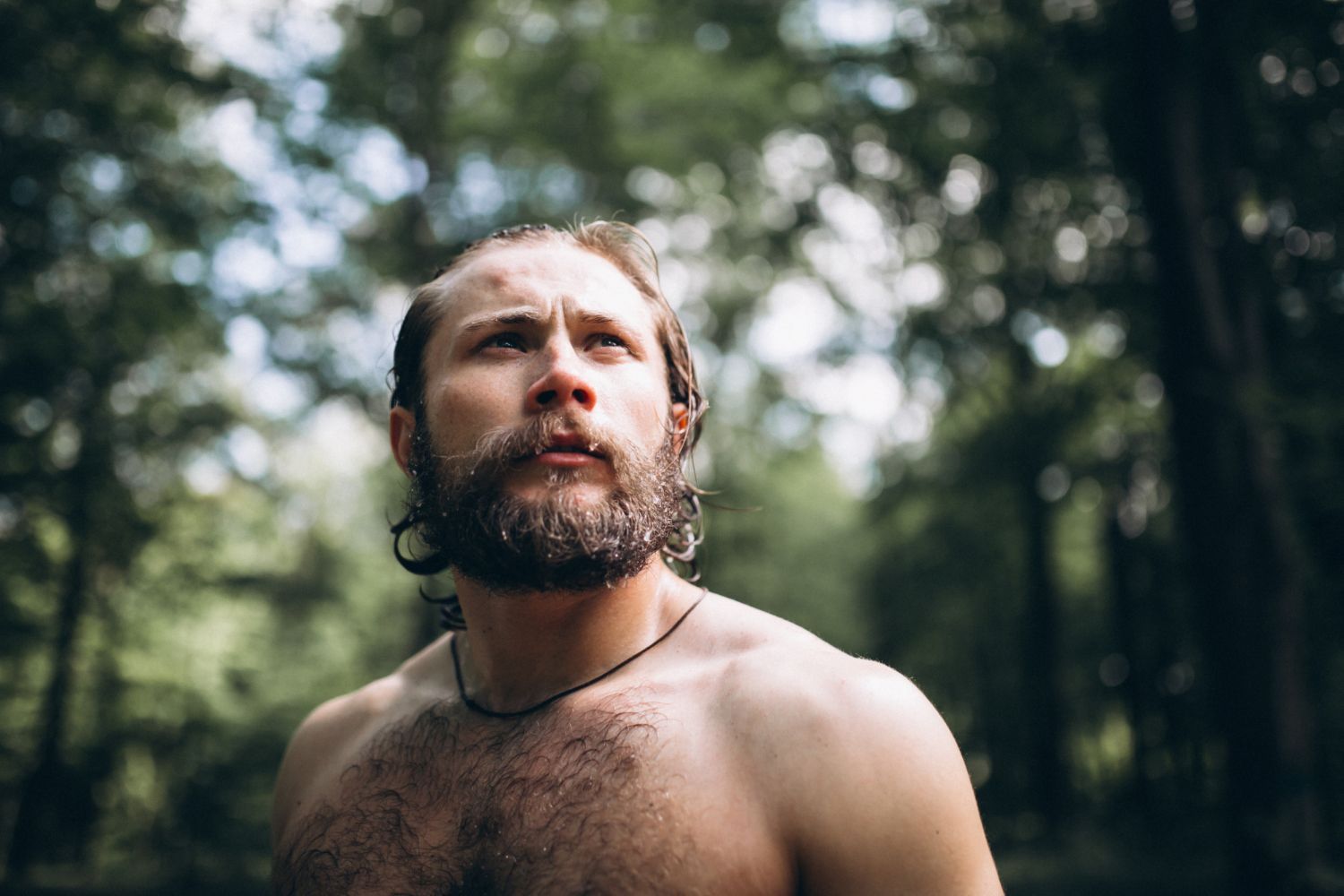 Bearded man standing shirtless in a forest, looking upward amid soft sunlight.