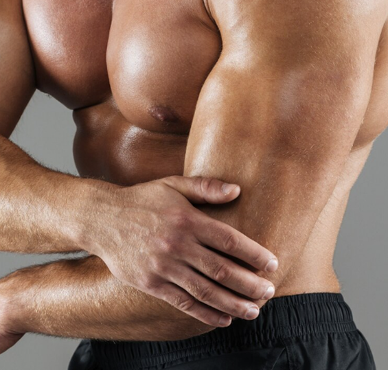Muscular torso being palpated at the waist by another person’s hands