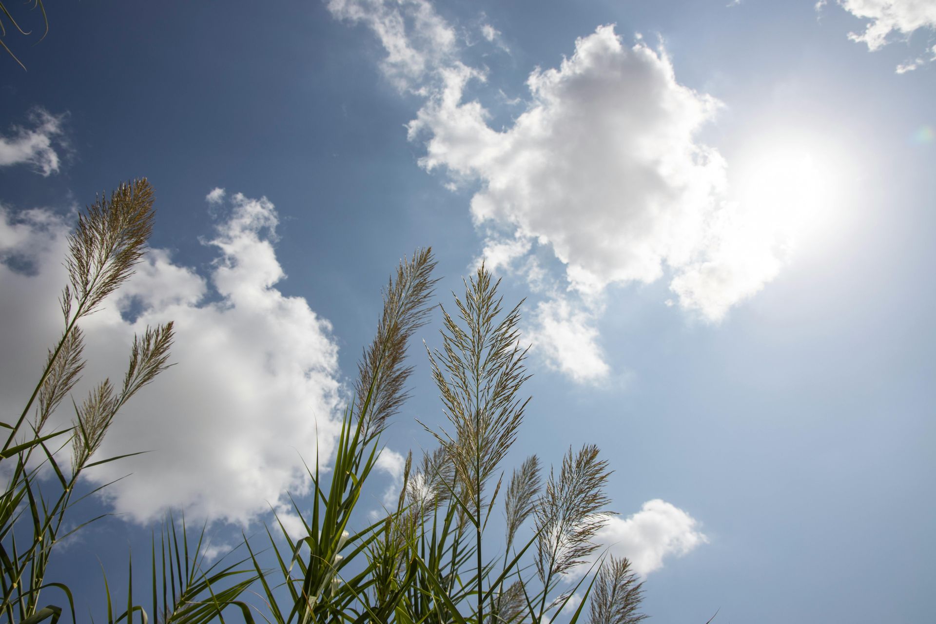 hot summer day with a few clouds | Super Service of Aliso Viejo