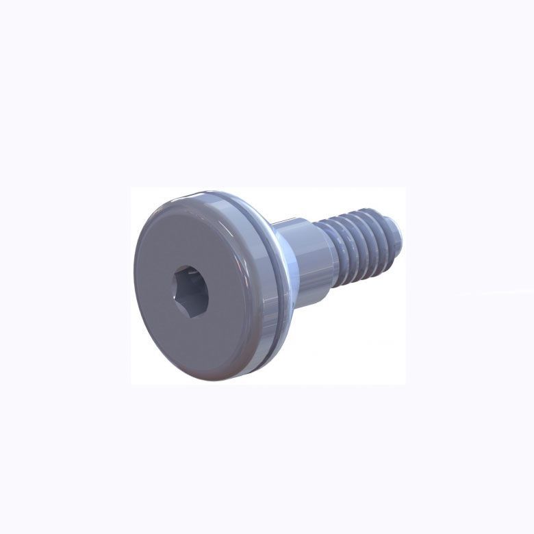 Tornillo hexagonal plateado con cabeza de arandela ancha sobre fondo blanco