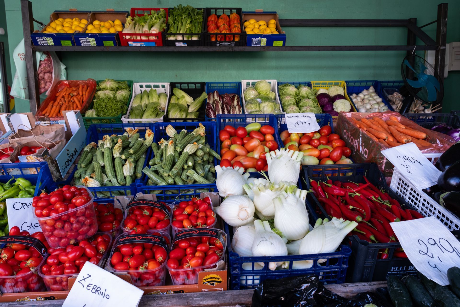 Esposizione di prodotti del mercato con file di frutta e verdura colorata in cassette e cesti.