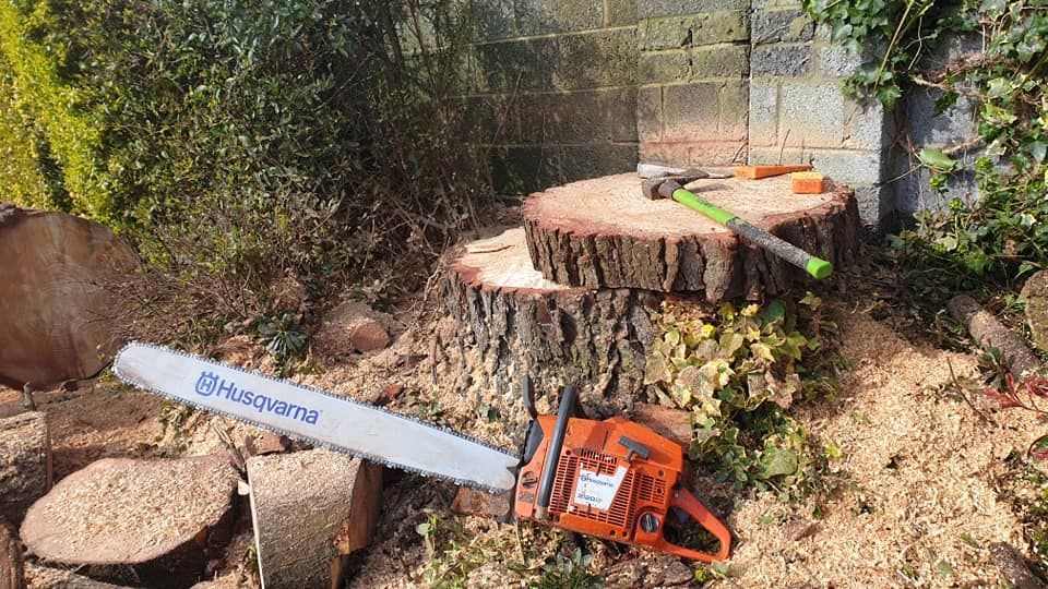 Professional Tree Surgery