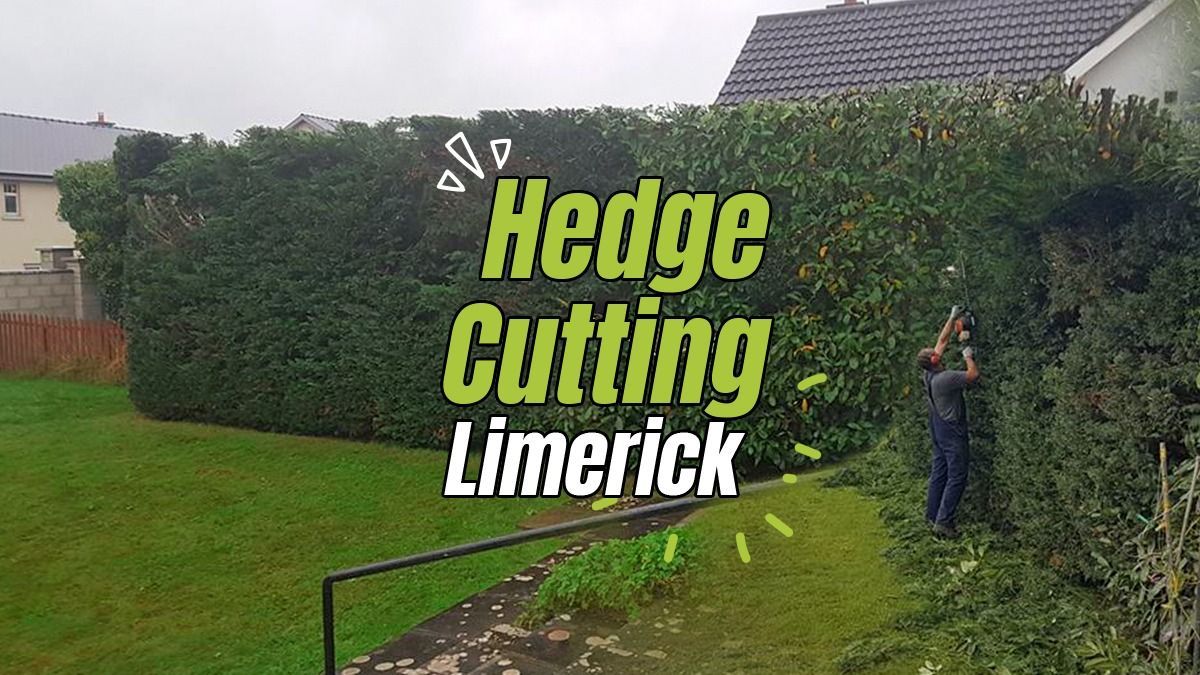 Hedge cutting Limerick