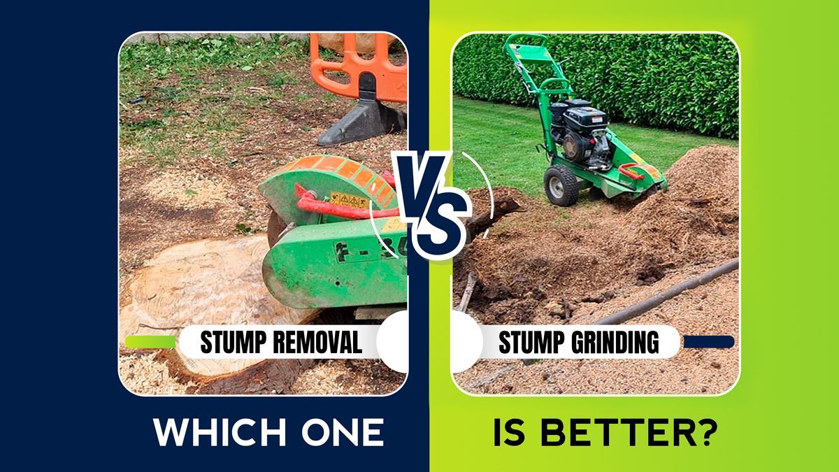 stump removal and stump grinding 