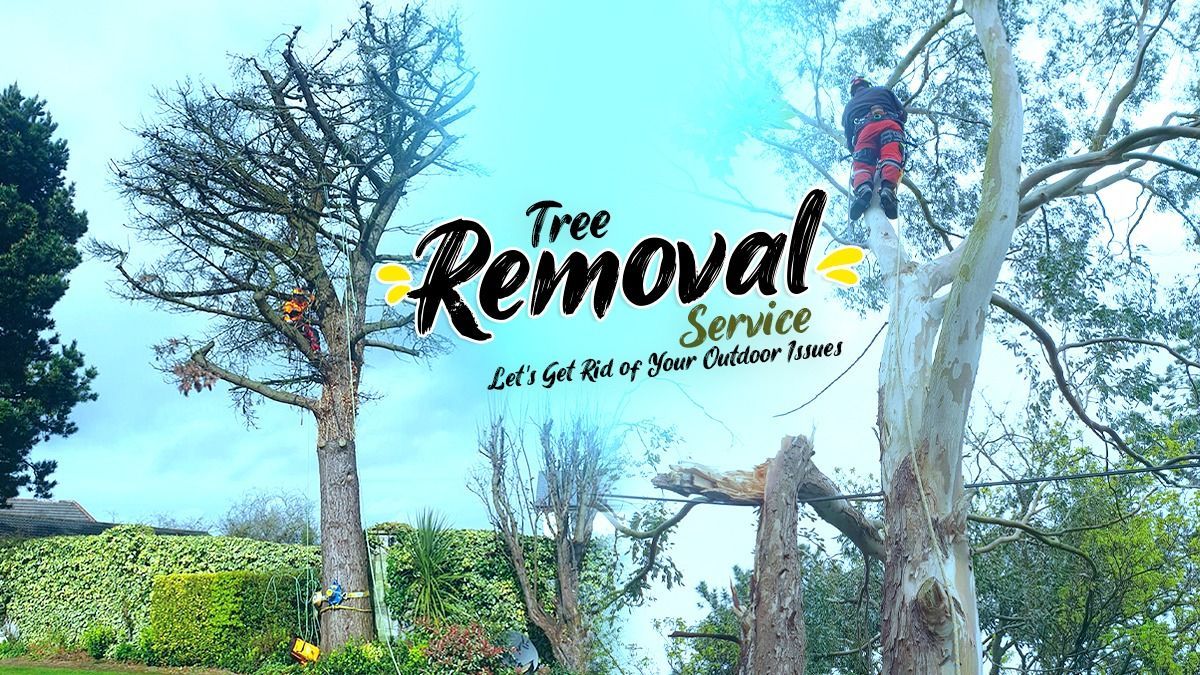 Tree Removal Limerick
