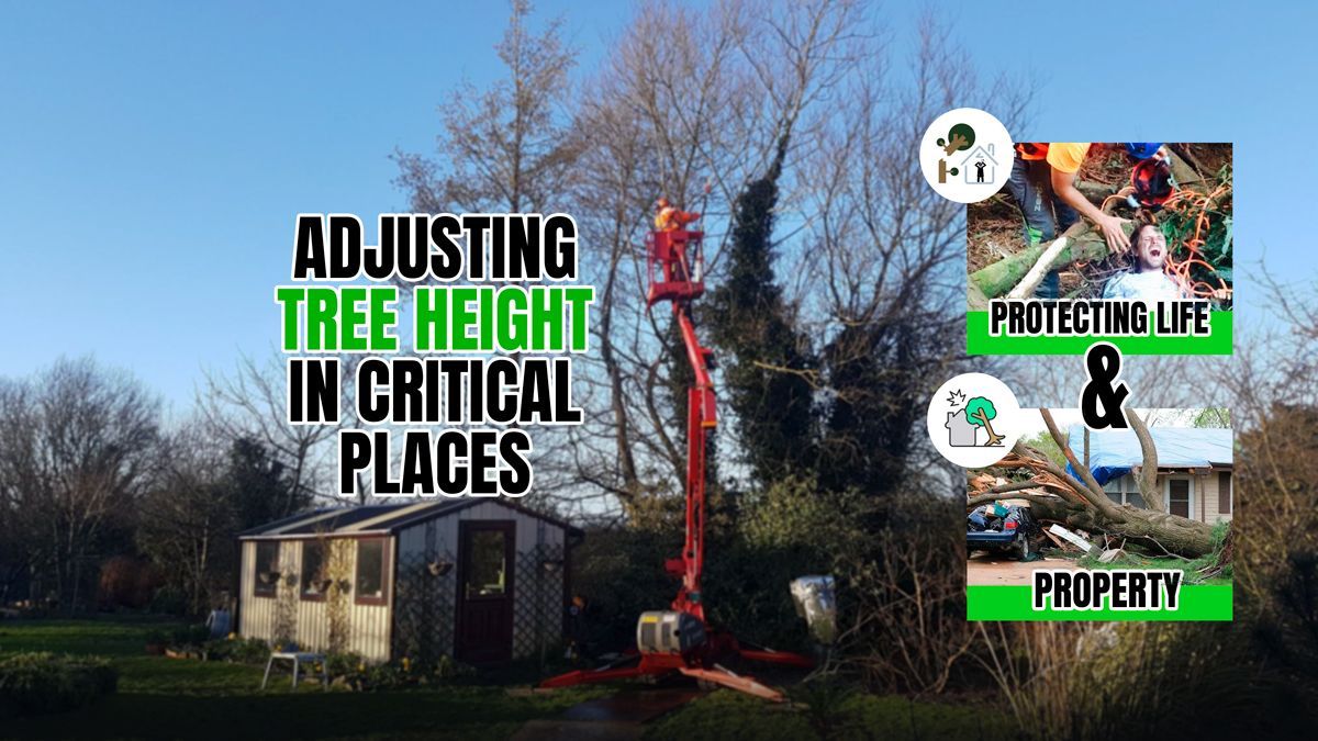 Adjusting Tree Height In Critical Places: Protecting Life & Property