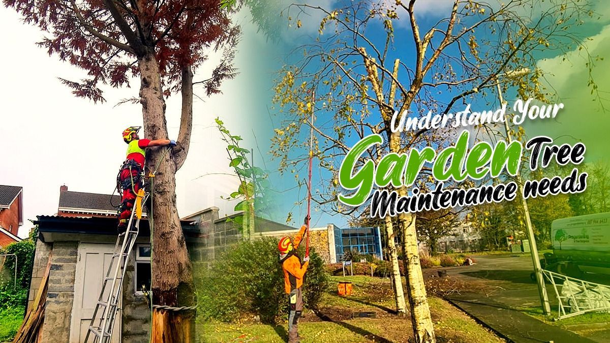 Tree maintenance