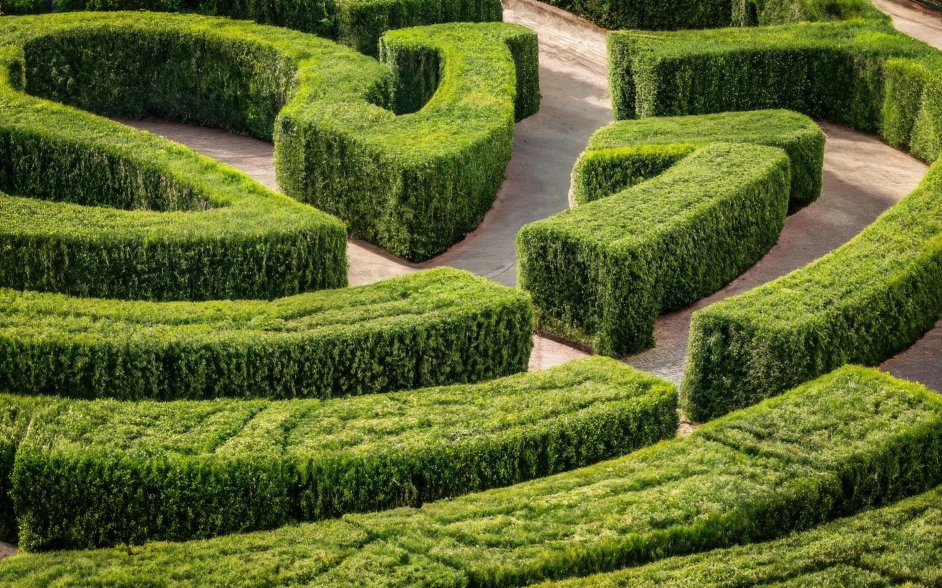 Garden Hedge Maze