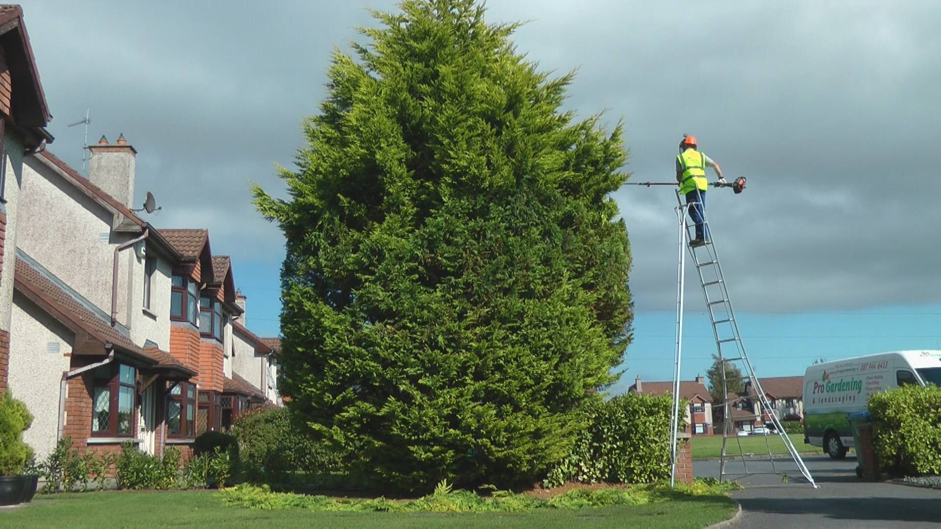 Hedge cutting Limerick