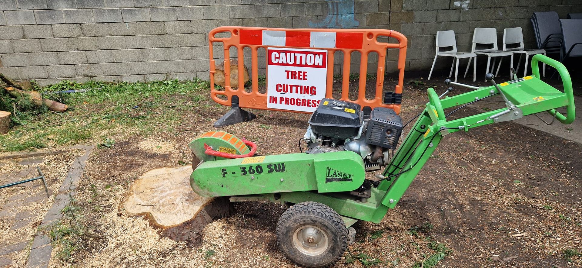 Tree stump grinding