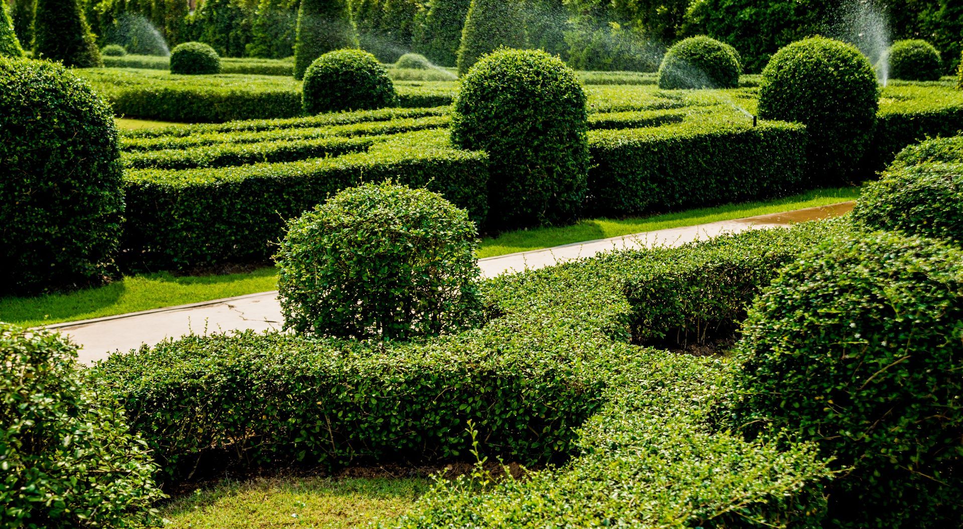Mimicking Structural Landscape