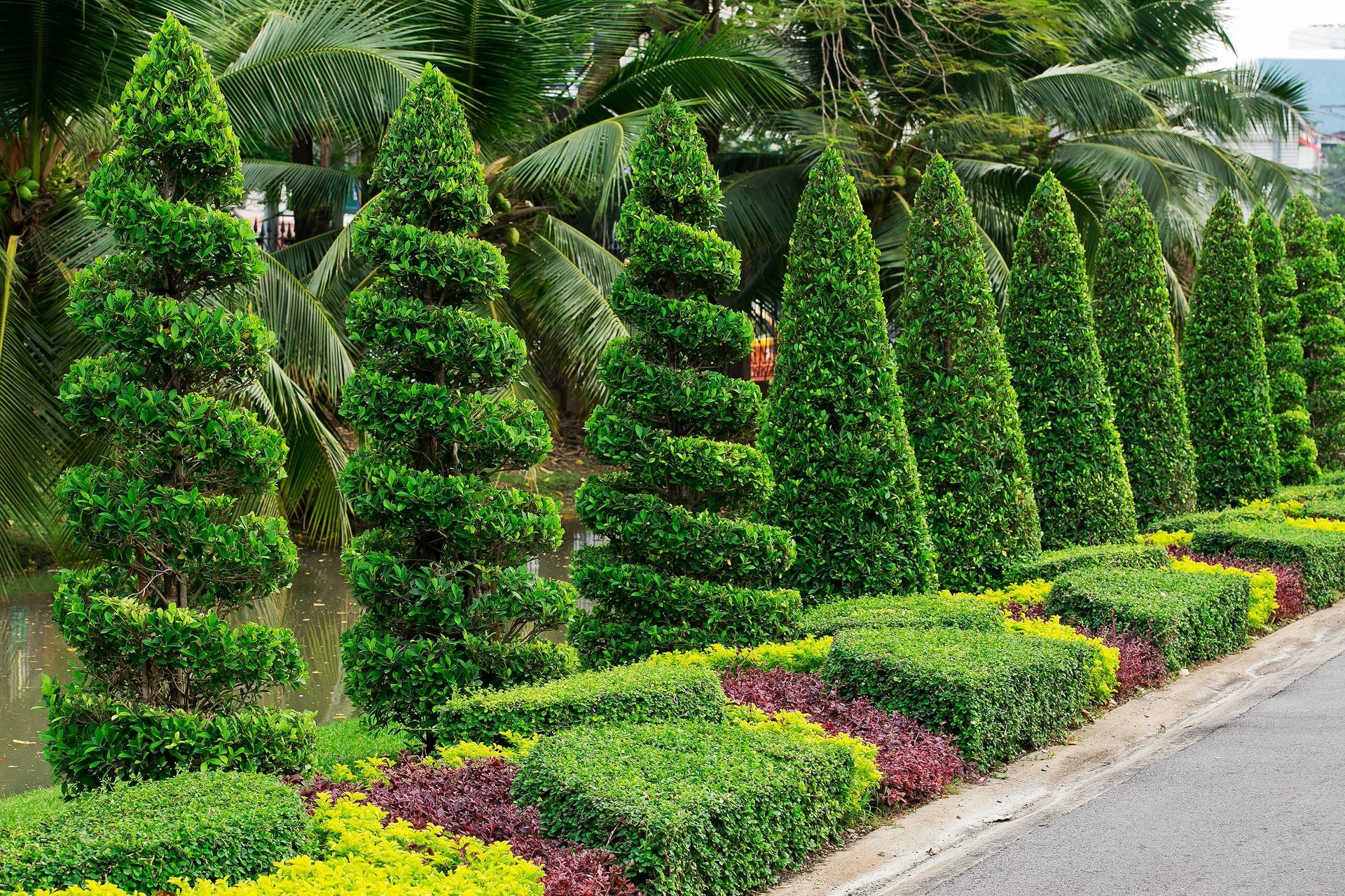 Spiral Topiary Hedge