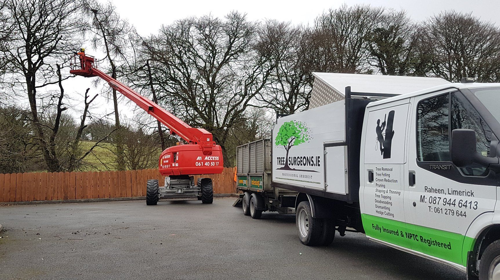Tree Surgeon Price Limerick
